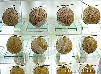 Perfect ripe melons at the fine shop. Stock Photo